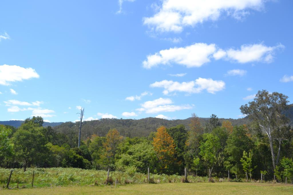 Готель Tuckers Retreat Canungra Екстер'єр фото