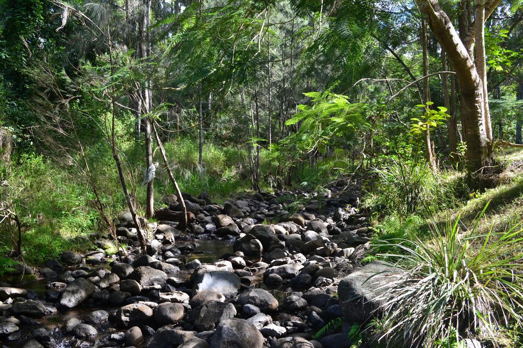 Готель Tuckers Retreat Canungra Екстер'єр фото