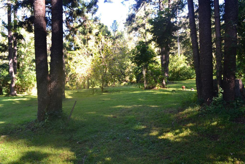 Готель Tuckers Retreat Canungra Екстер'єр фото