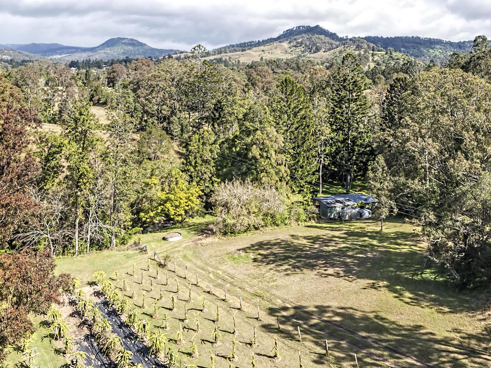 Готель Tuckers Retreat Canungra Екстер'єр фото